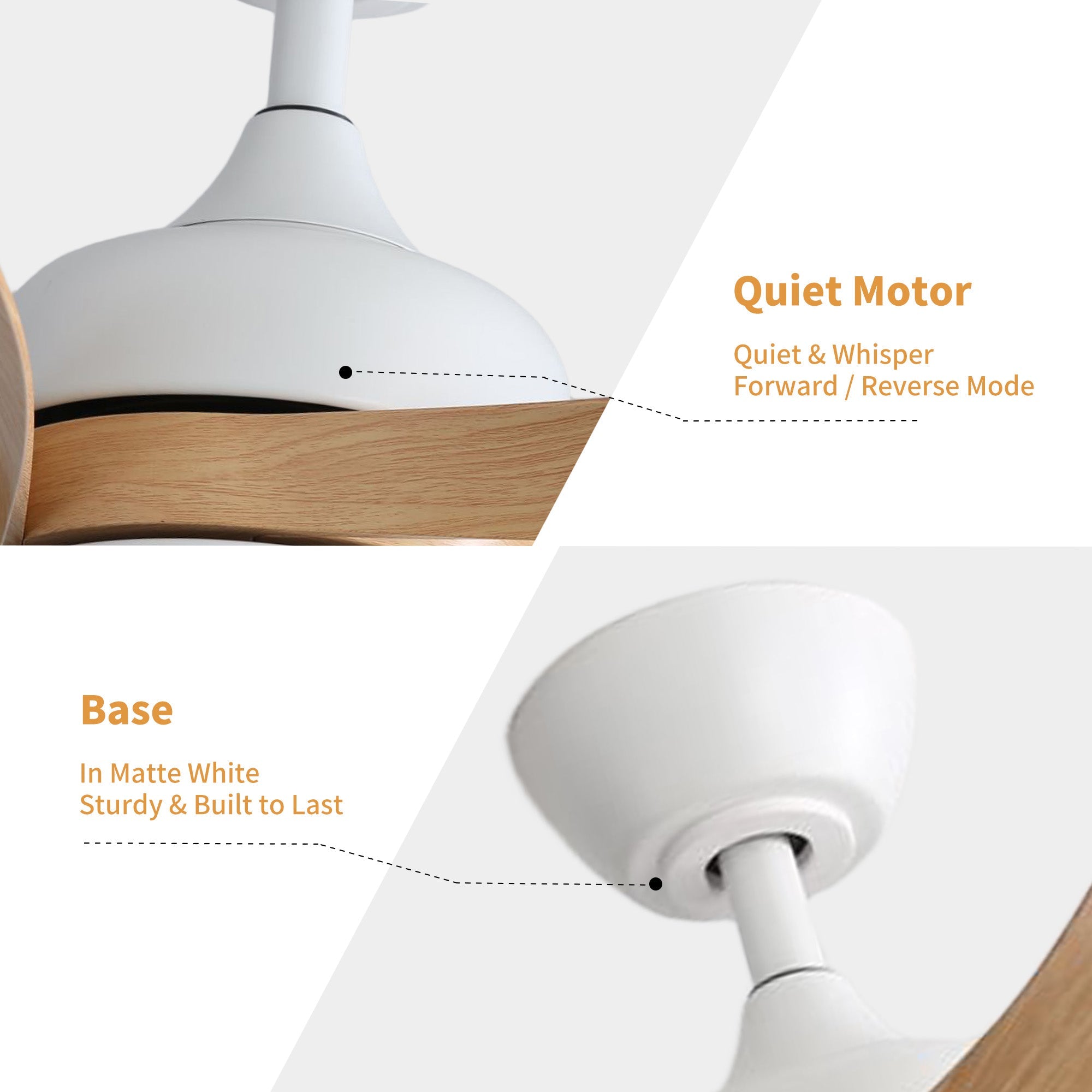 WhisperDawn | 52" | Oak