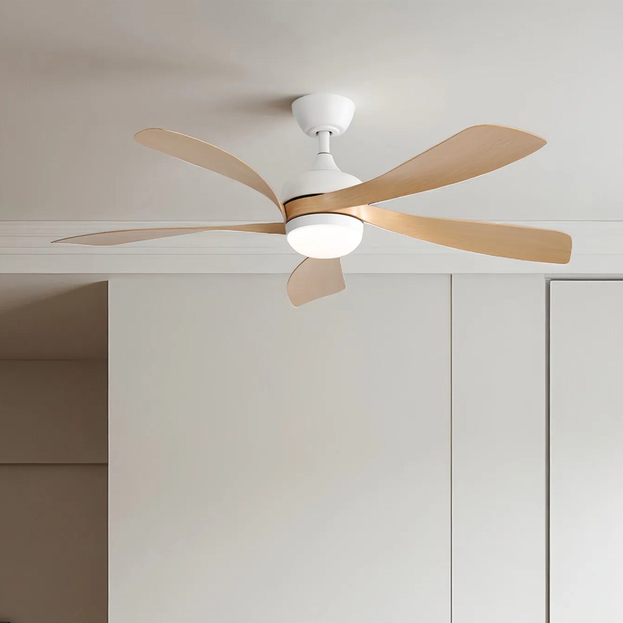 WhisperDawn | 52" | Oak