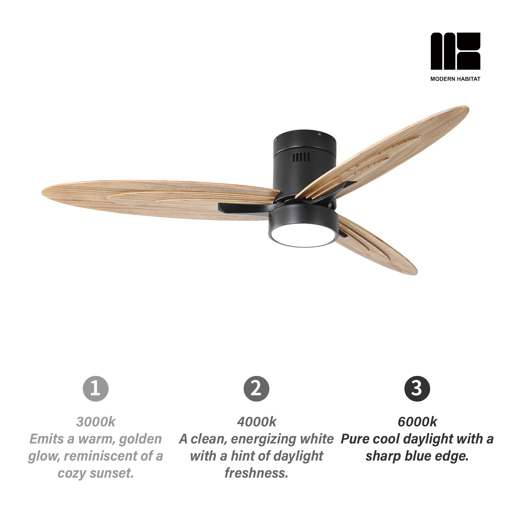 SerenityShine | 56" | Matte Black