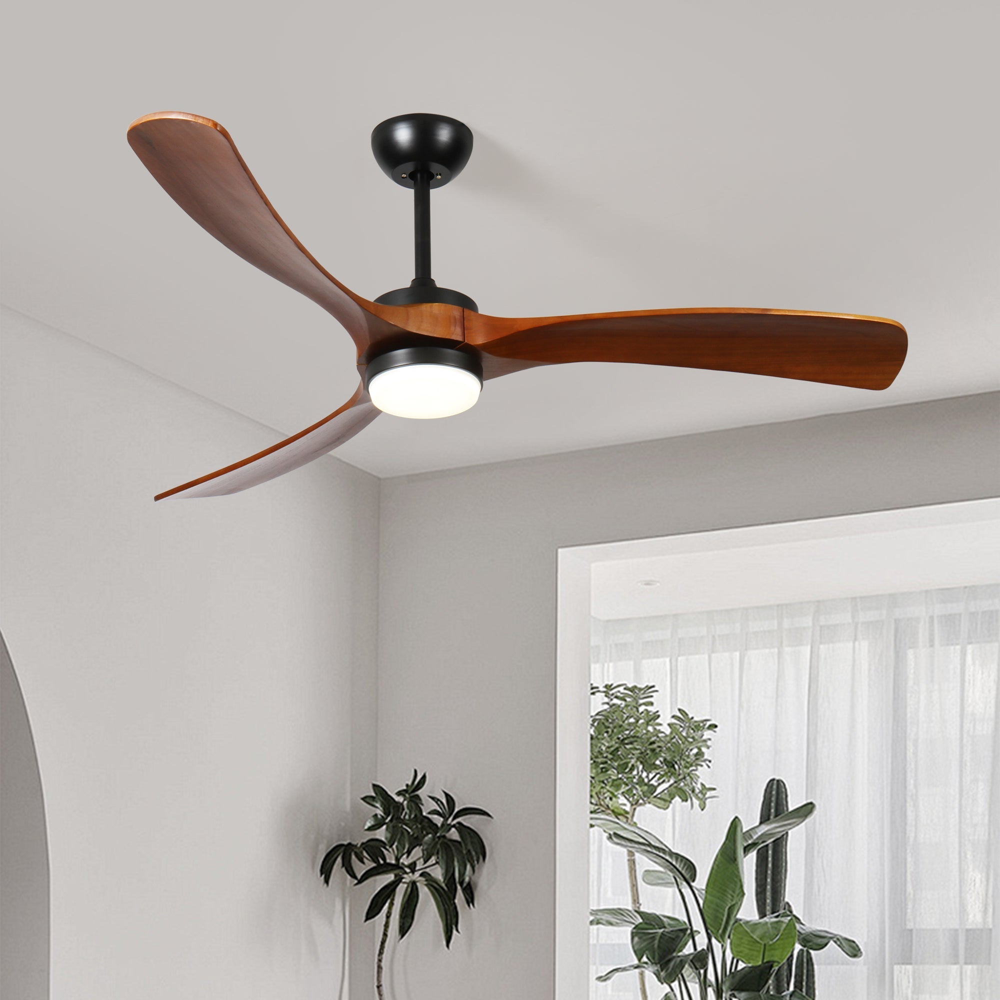 TriBlades | 60" | Walnut